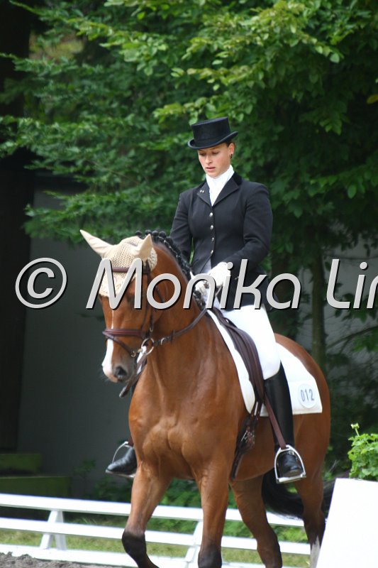 009M4312_Avellano Chico_Dresspf_L.JPG